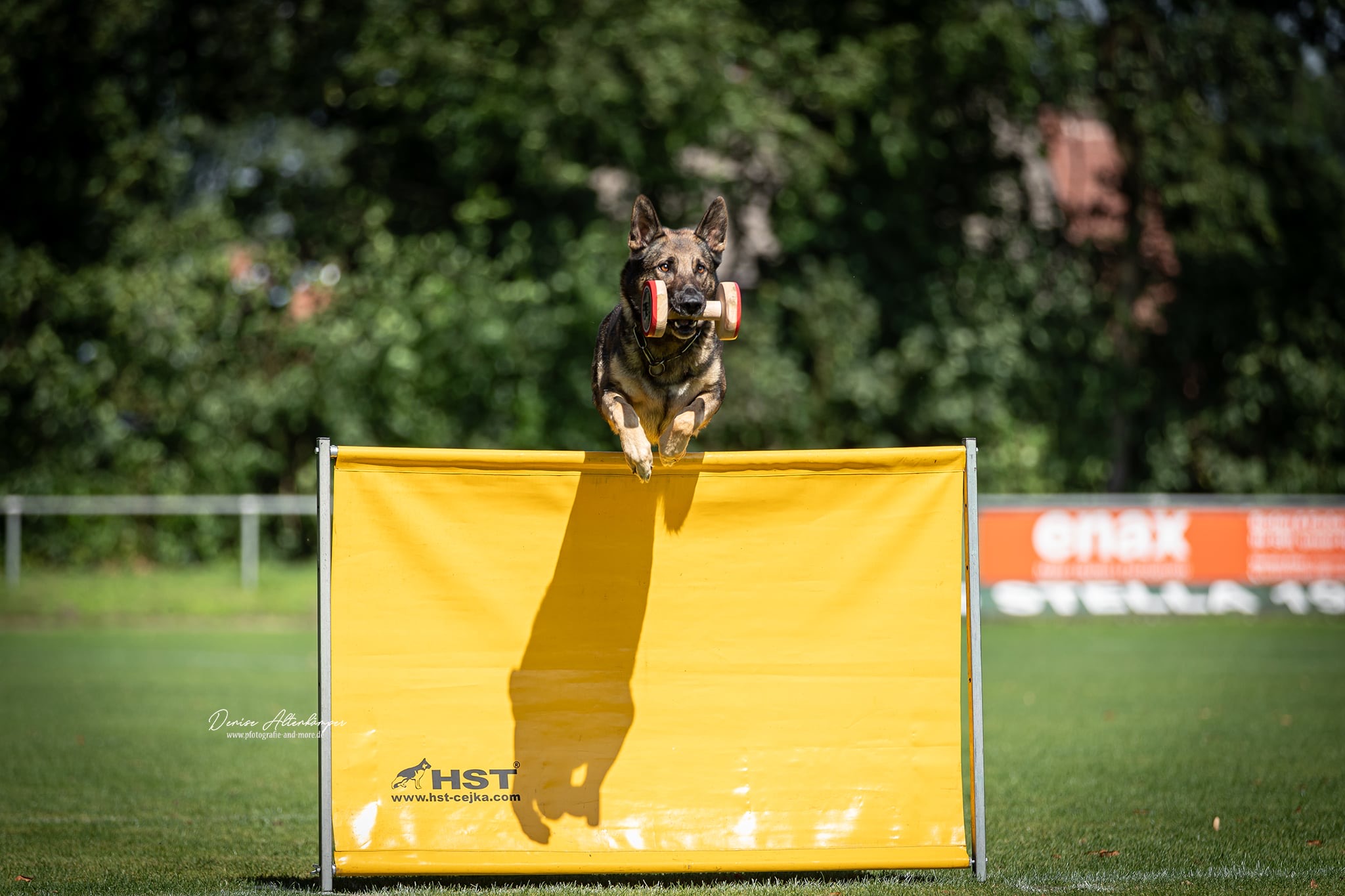 LGA Hörstel Sprung