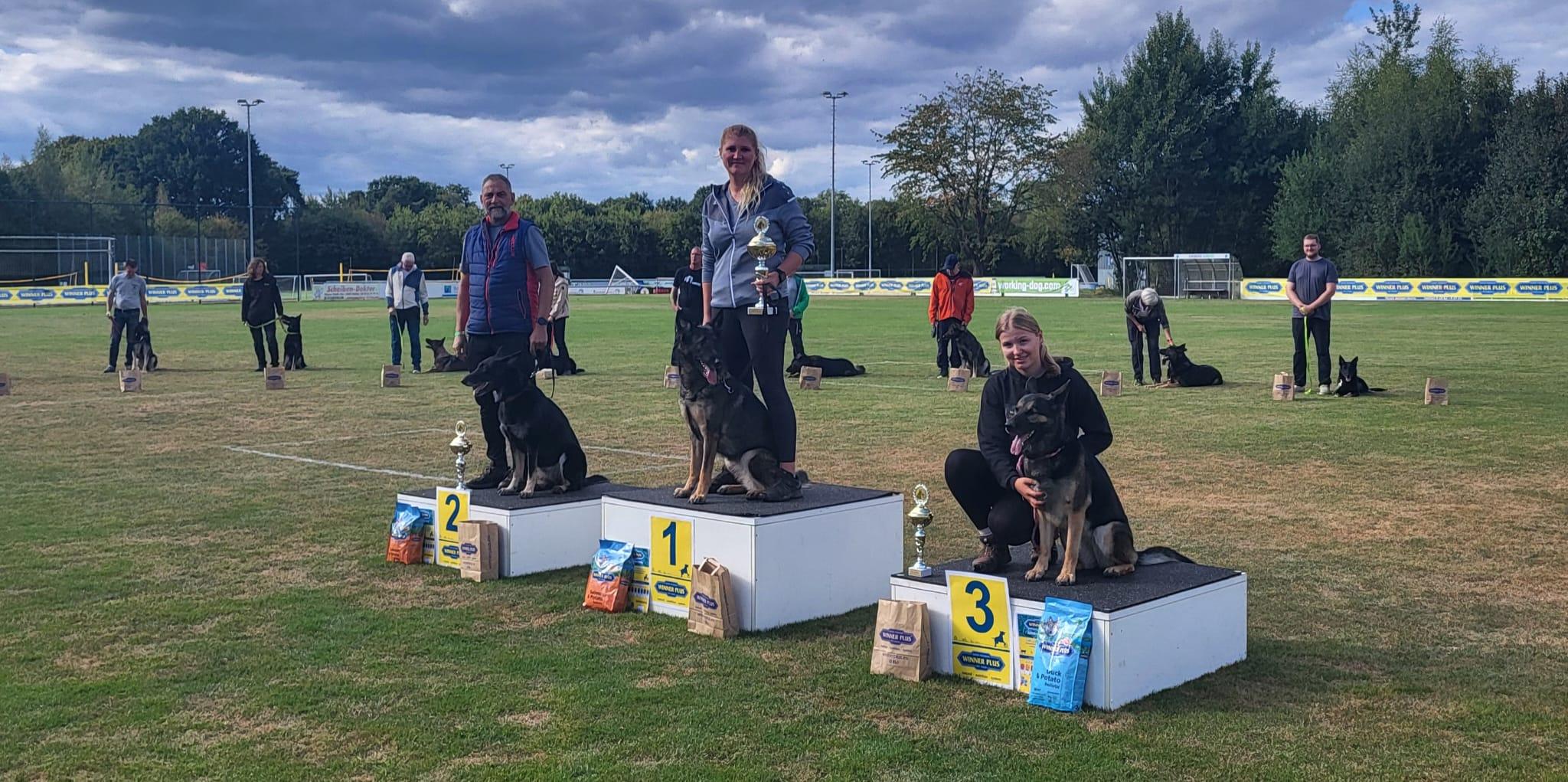 LGA Treppchen Agility