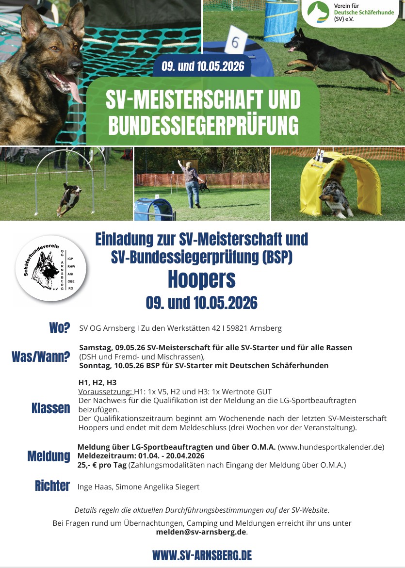 Einladung BSP Hoopers