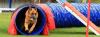Agility-Trainertraining mit Jugendtraining Agility-Trainertraining mit Jugendtraining