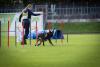 Bericht zur BSP Agility in Halle