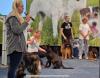 Bericht zur Messe Dogs & Fun