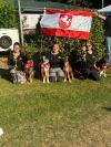 Bericht zur SV Deutsche Meisterschaft, Jugend-Meisterschaft und Bundessiegerprüfung Rally Obedience 