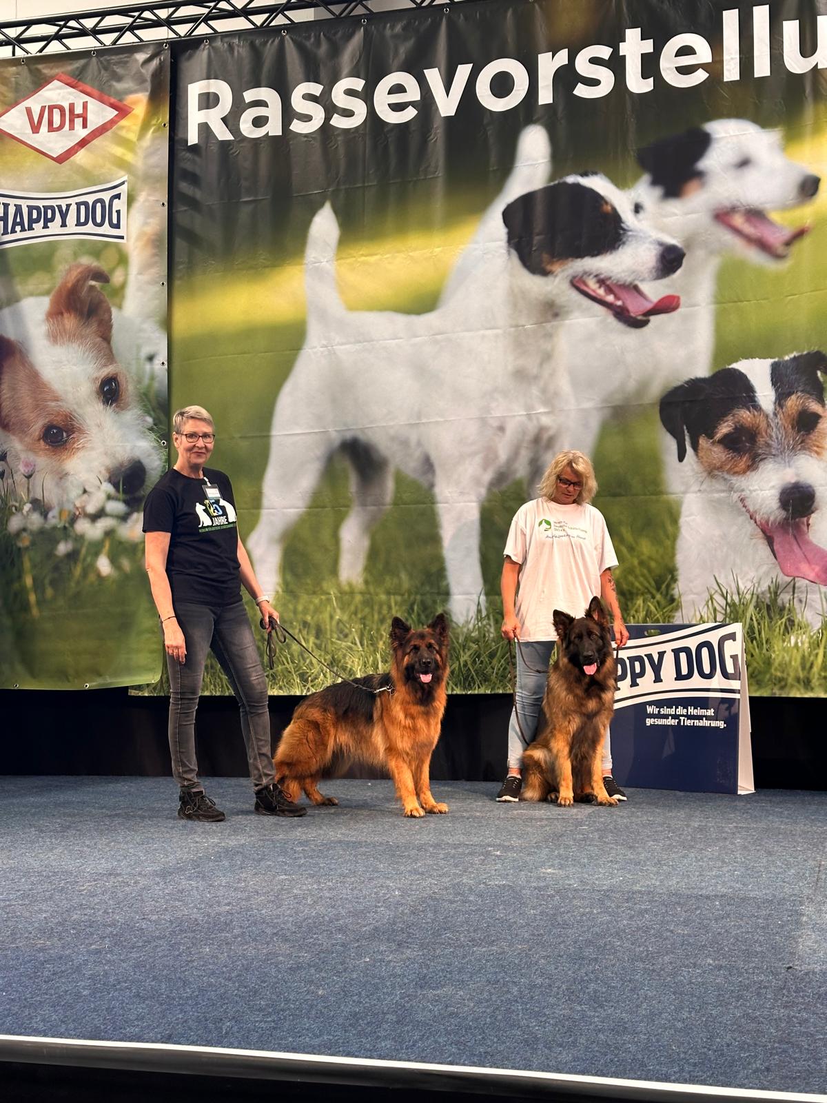 DogFun_3.jpg